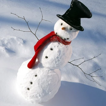 Снеговик наряжается Глаза Кнопка рта Морковный снеговик Украшение Прямая поставка