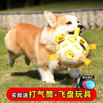 Игрушка для собачьего футбола, Устойчивая К Укусам Молярная Игрушка Для Бордер-Колли, Специальная Для Дрессировки