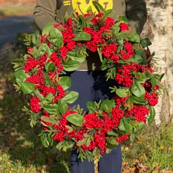50 см Красные Ягоды Искусственный Рождественский Венок Зеленая Ель Crestwood Венки для Входной Двери Украшения для Дома Рождественская Коллекция 2023