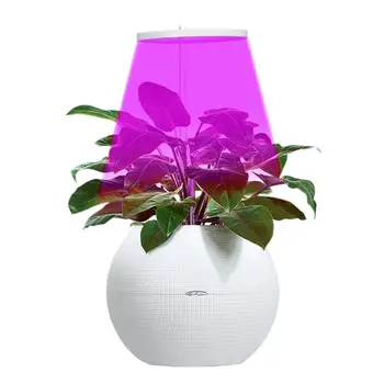 Лампа для выращивания растений с регулируемой яркостью светодиодной лампы полного спектра для растений, круглая светодиодная лампа для выращивания роз, мини-бонсай