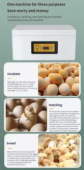 Оборудование для инкубации бройлеров, простое в использовании, экономичное Благодаря изоляции, оснащенное функцией освещения яиц, Инкубатор для цыплят